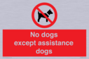 no-dogs-except-assistance-dogs~